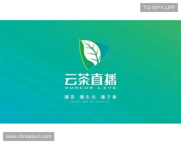 开云体育网娱乐app用户评价与反馈，助力平台不断优化提升
